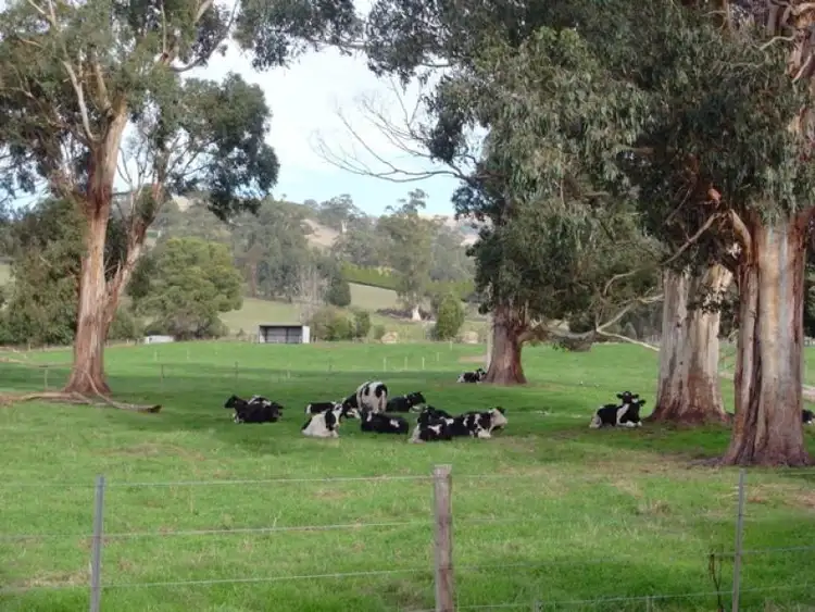 Fifth view of Homely rural property listing, 706 Hazeldean Road, Cloverlea VIC 3822