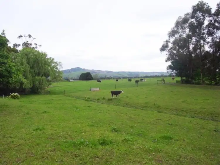 Fourth view of Homely rural property listing, 428 Darnum-Allambee Road, Cloverlea VIC 3822