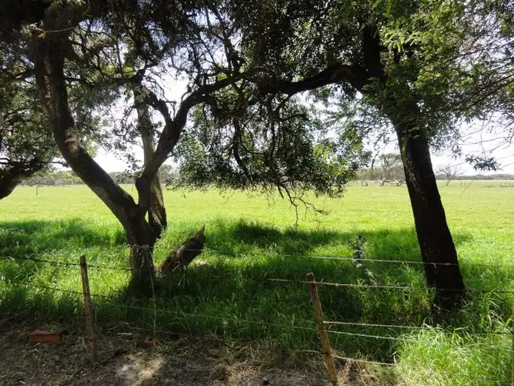 Third view of Homely house listing, 39 Ash Avenue, Sandy Point VIC 3959