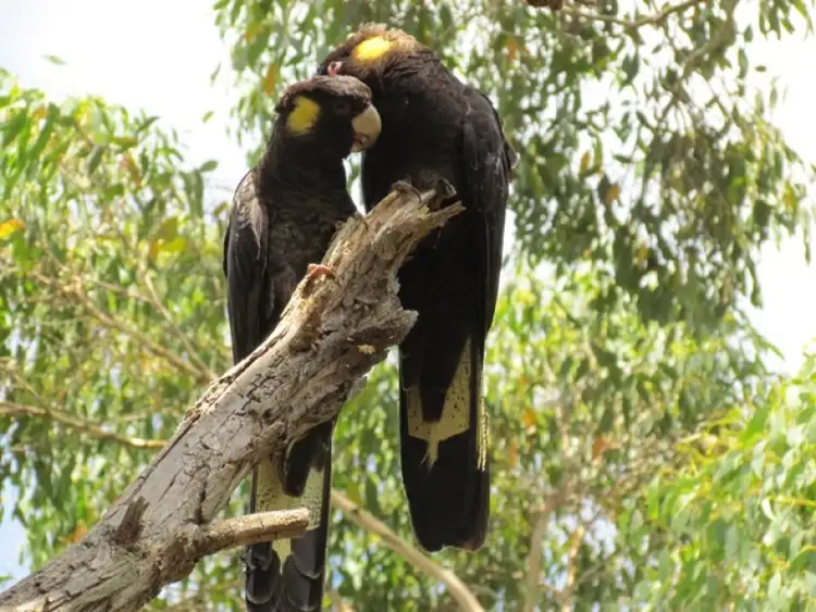 Third view of Homely house listing, 1099 Moe Willow Grove Road, Willow Grove VIC 3825