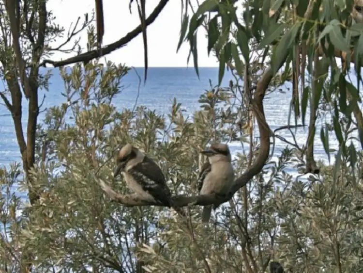 Fourth view of Homely house listing, 17 Waratah St, Walkerville VIC 3956