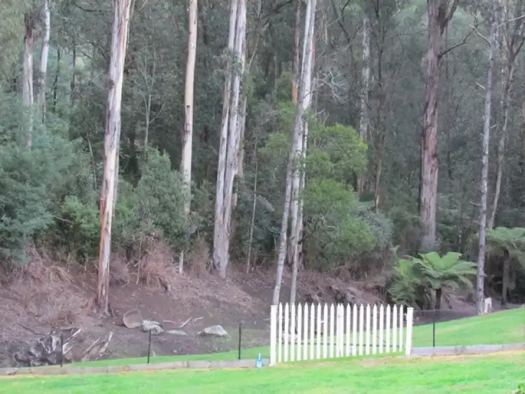 Sixth view of Homely house listing, 518 Mt Baw Baw-Tourist Road, Noojee VIC 3833