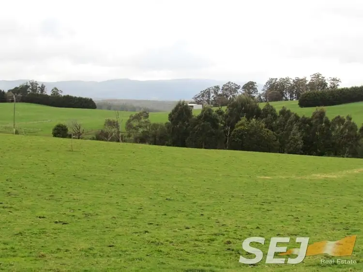 Fifth view of Homely rural property listing, 1690 Mt Baw Baw Tourist Road, Icy Creek VIC 3833