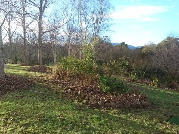 Third view of Homely rural property listing, 1600 Mt Baw Baw Tourist Road, Icy Creek VIC 3833