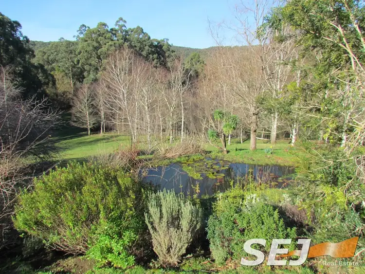 Fourth view of Homely rural property listing, 1600 Mt Baw Baw Tourist Road, Icy Creek VIC 3833