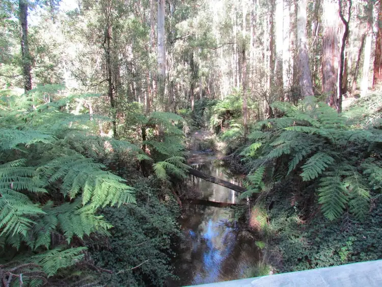 CA 114 Duggan North Road, Fumina VIC 3825