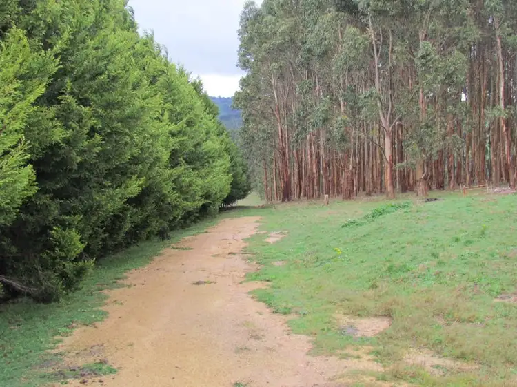 Lot 2, LP219102N Allmans Road, Trida VIC 3953