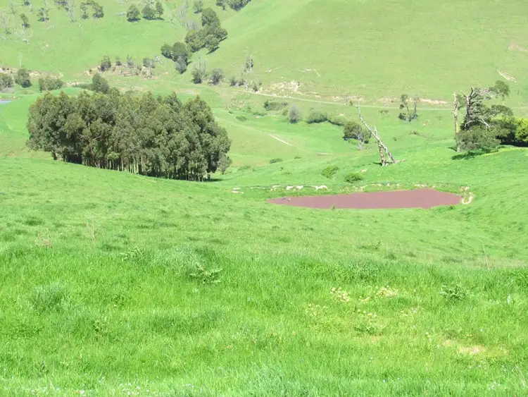 Second view of Homely rural property listing, 365 Mountain View-McDonalds Track, Mountain View VIC 3988