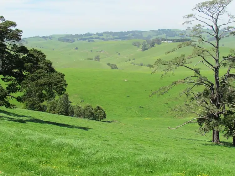 Third view of Homely rural property listing, 365 Mountain View-McDonalds Track, Mountain View VIC 3988