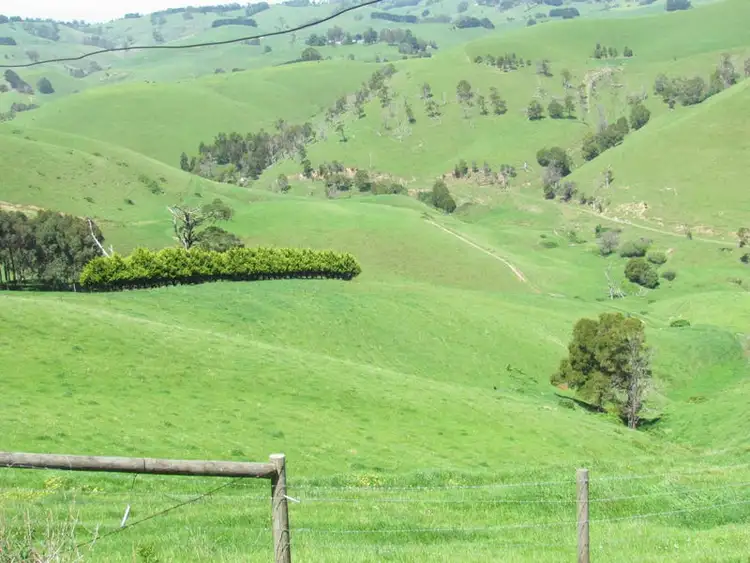 Fourth view of Homely rural property listing, 365 Mountain View-McDonalds Track, Mountain View VIC 3988