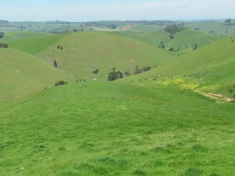 Fifth view of Homely rural property listing, 365 Mountain View-McDonalds Track, Mountain View VIC 3988