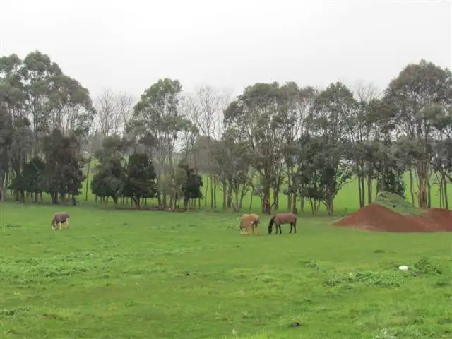 Fifth view of Homely rural property listing, Lot 2, 2570 Main Neerim Road, Neerim VIC 3831