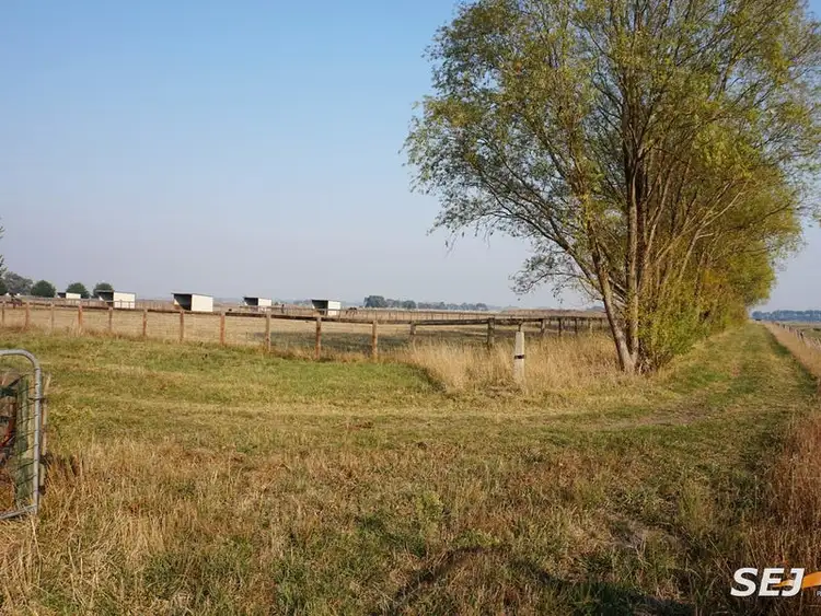 Fifth view of Homely rural property listing, 245 Eight Mile Road, Nar Nar Goon VIC 3812