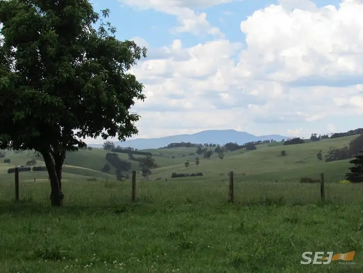 Second view of Homely rural property listing, 90 Sheffield Road, Neerim South VIC 3831