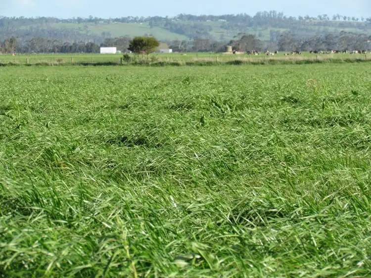 Main view of Homely rural property listing, Lot 2 Coster Road, Modella VIC 3816