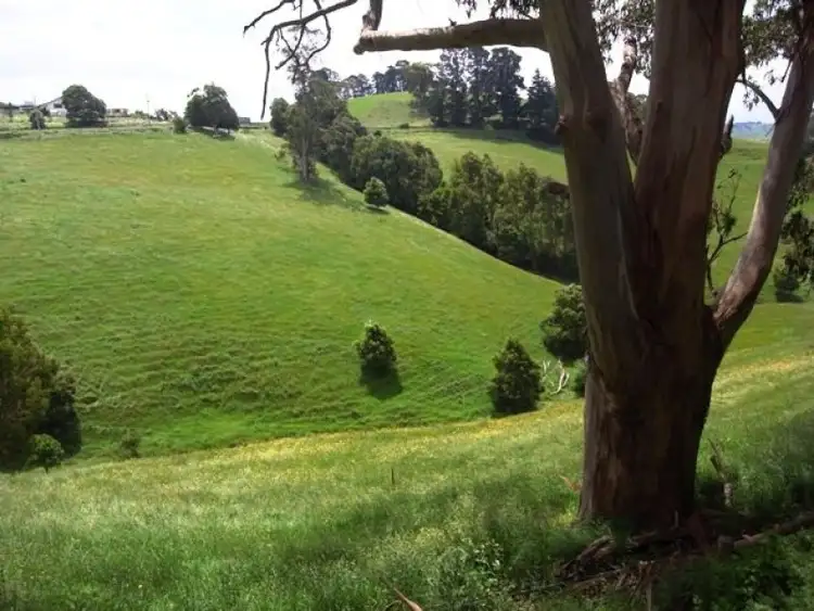 Second view of Homely rural property listing, 265 Mountain View-McDonalds Track, Mountain View VIC 3988