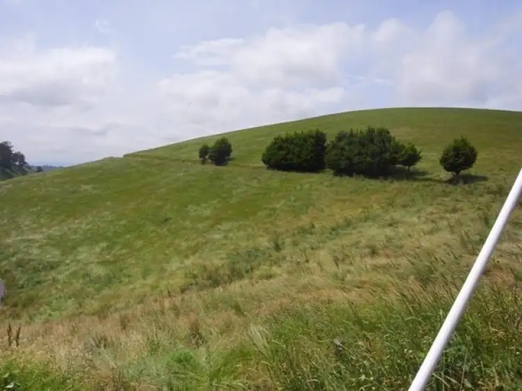 Fourth view of Homely rural property listing, 265 Mountain View-McDonalds Track, Mountain View VIC 3988