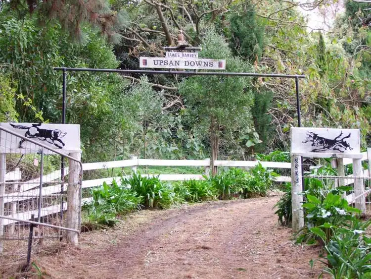 Second view of Homely rural property listing, 3330 Grand Ridge Road, Mirboo North VIC 3871