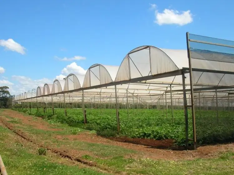 Third view of Homely rural property listing, 251D Hunters Road, Warragul South VIC 3821