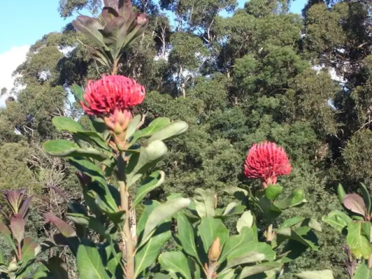 Fourth view of Homely rural property listing, 251D Hunters Road, Warragul South VIC 3821