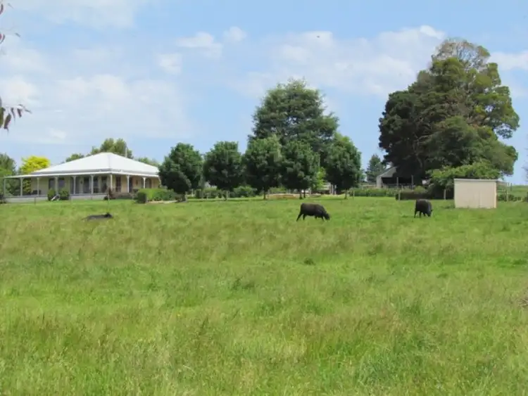 Main view of Homely rural property listing, 199 Nayook Powelltown Road, Nayook VIC 3832
