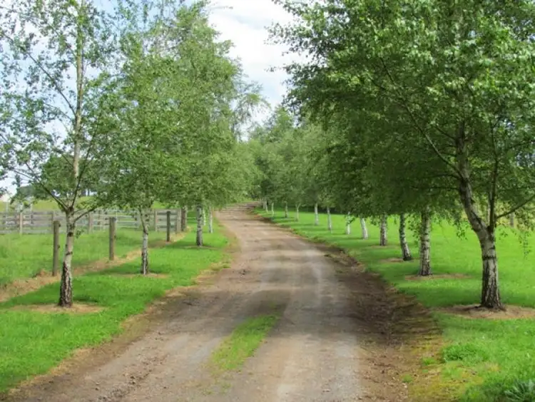 Third view of Homely rural property listing, 199 Nayook Powelltown Road, Nayook VIC 3832
