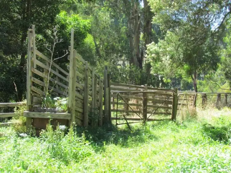 Lot 1 Wild Dog Road, Strzelecki VIC 3950