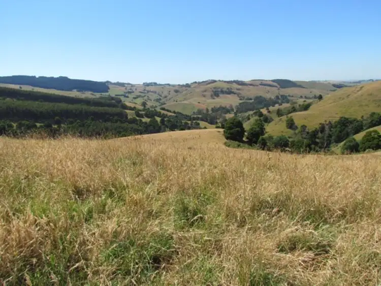 Second view of Homely rural property listing, Lot 1 Wild Dog Road, Strzelecki VIC 3950