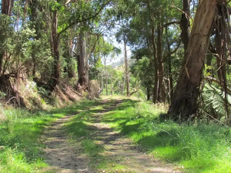 Third view of Homely rural property listing, Lot 1 Wild Dog Road, Strzelecki VIC 3950