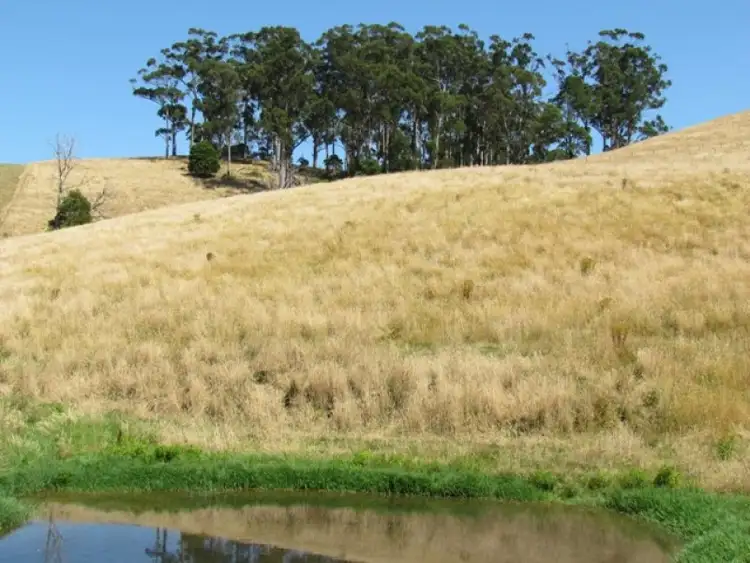 Fourth view of Homely rural property listing, Lot 1 Wild Dog Road, Strzelecki VIC 3950
