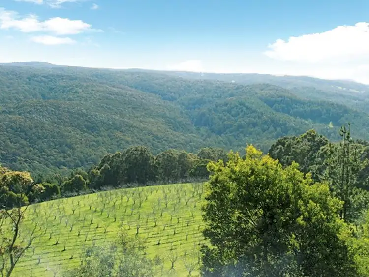 Second view of Homely rural property listing, 33 School House Road, Fumina VIC 3825