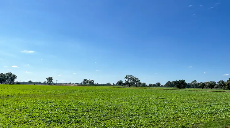 Fourth view of Homely rural property listing, 209 Rockliffs Road, Strathmerton VIC 3641