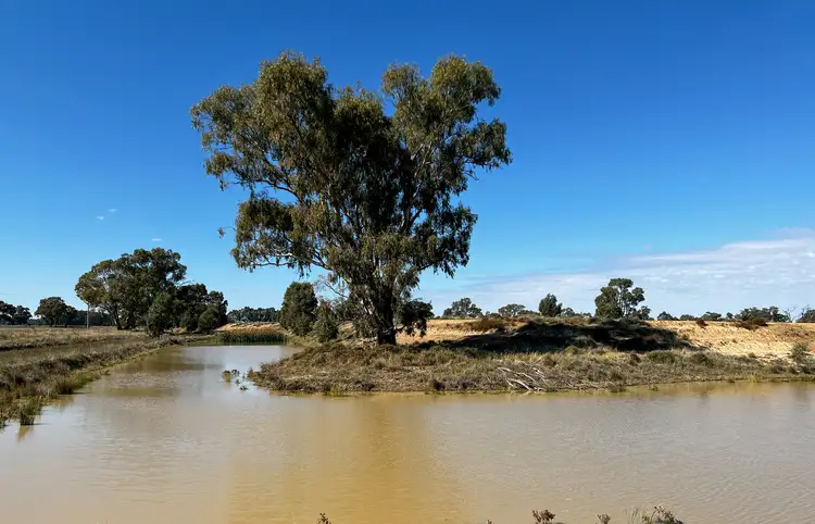 Fifth view of Homely rural property listing, 209 Rockliffs Road, Strathmerton VIC 3641