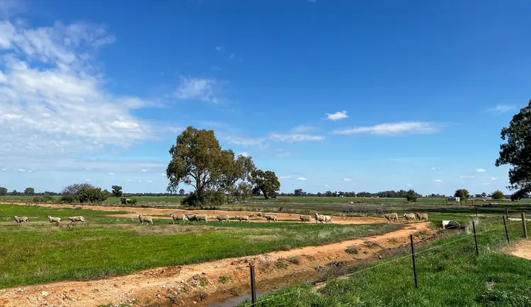 Seventh view of Homely rural property listing, 209 Rockliffs Road, Strathmerton VIC 3641