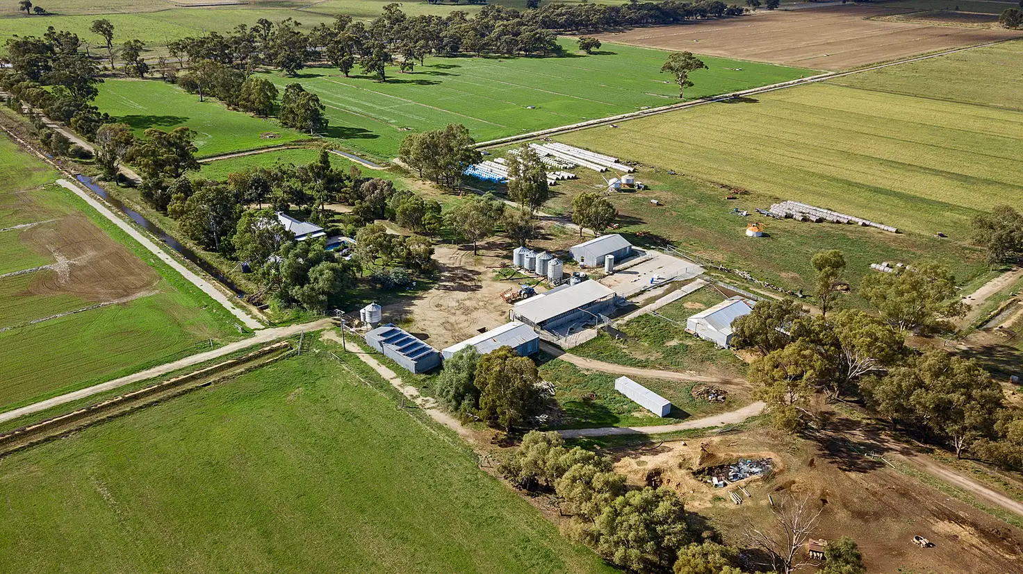 Main view of Homely rural property listing, 341 MV Hwy, Strathmerton VIC 3641