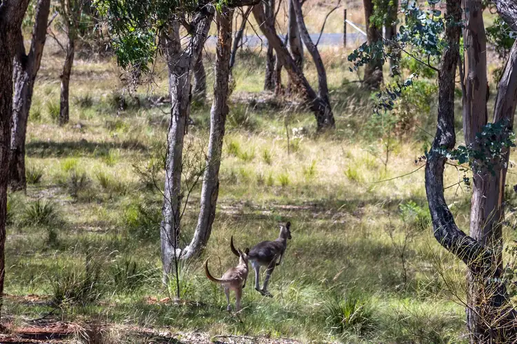 Fifth view of Homely land listing, LOT 23 Marshall Way, Emmaville NSW 2371