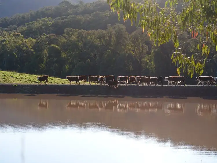 Fifth view of Homely land listing, 1382 Buttercup Road, Merrijig VIC 3723