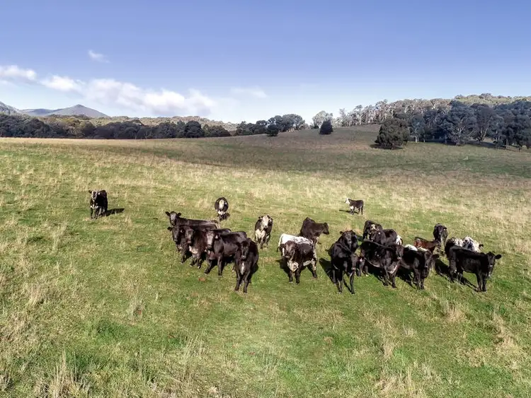 Sixth view of Homely land listing, 1382 Buttercup Road, Merrijig VIC 3723