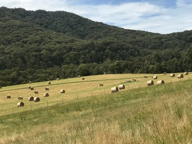 Seventh view of Homely land listing, 1382 Buttercup Road, Merrijig VIC 3723