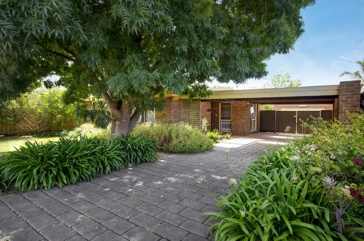 Main view of Homely house listing, 15 Winter Street, Belmont VIC 3216