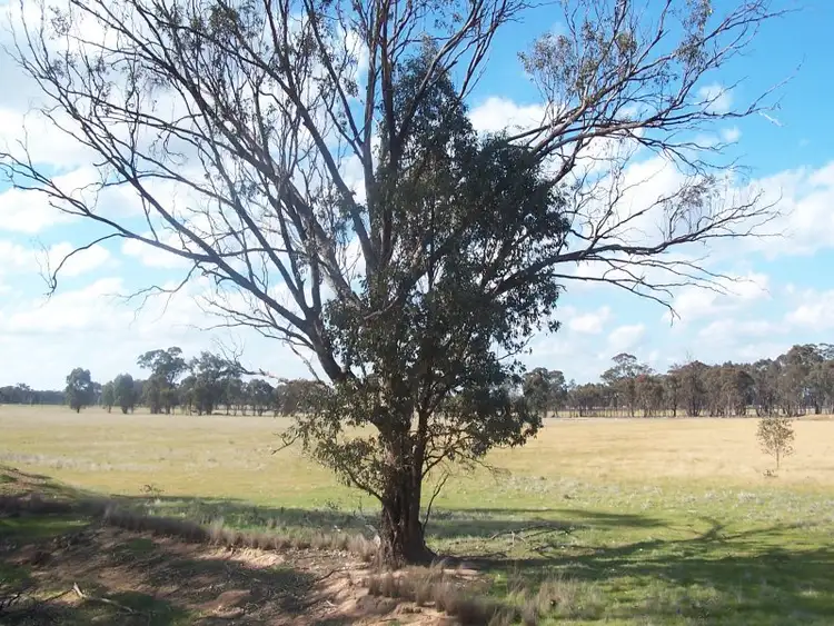 Seventh view of Homely rural property listing, Wet Lane, Inglewood VIC 3517