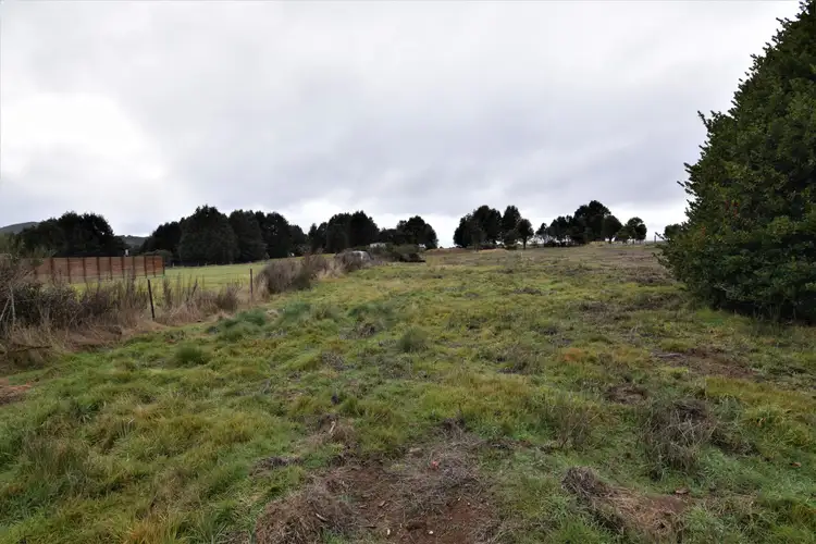 Main view of Homely land listing, 19 Camp Road, Waratah TAS 7321