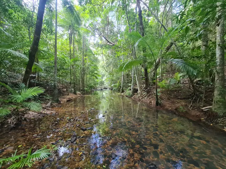 Second view of Homely rural property listing, LOT 21 Old Dairy Road, Cooktown QLD 4895