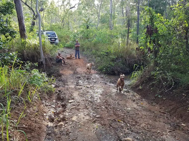 Sixth view of Homely rural property listing, LOT 21 Old Dairy Road, Cooktown QLD 4895