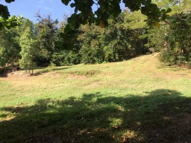 Fourth view of Homely land listing, 3 Pryde Street, Cooktown QLD 4895