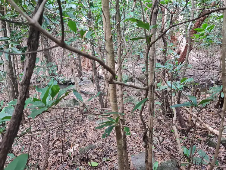 Fourth view of Homely land listing, 2 Parkinson Street, Cooktown QLD 4895