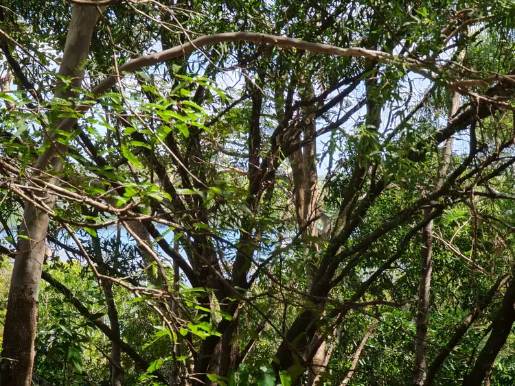 Fifth view of Homely land listing, 16 Flinders Street, Cooktown QLD 4895