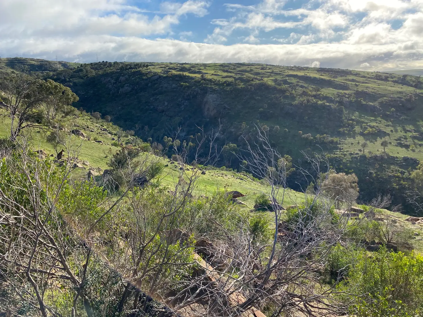 Main view of Homely land listing, 707 Jutland Road, Eden Valley SA 5235