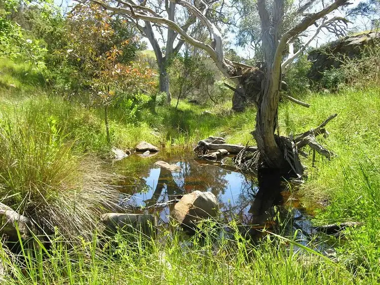 Fifth view of Homely land listing, 707 Jutland Road, Eden Valley SA 5235