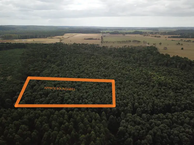 Main view of Homely land listing, 0 Roger River Road, Roger River TAS 7330